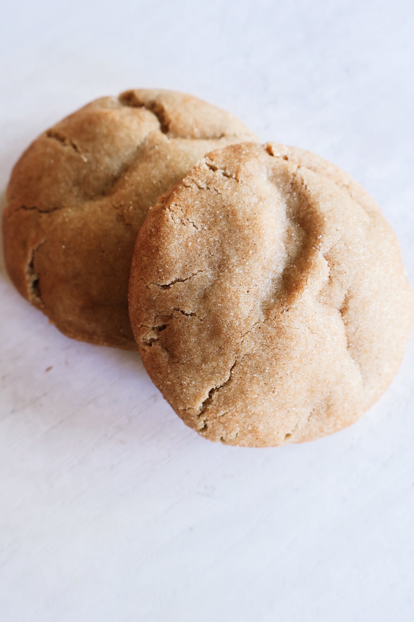Snickerdoodle Cookie