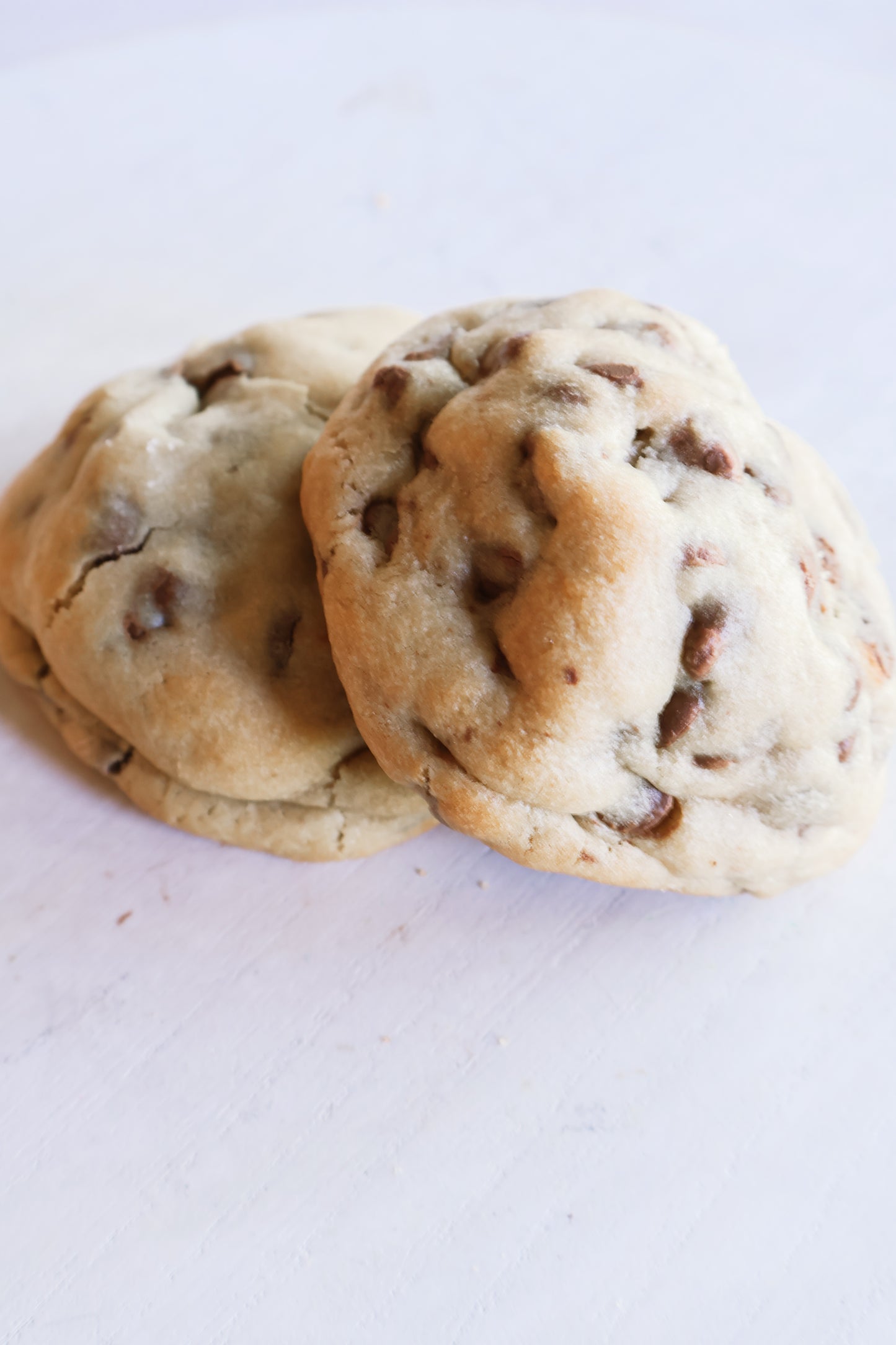 Chocolate Chip Cookie